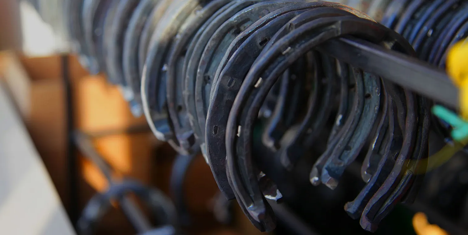 Cкачки могут стать прибыльным бизнесом - фото kapital.kz