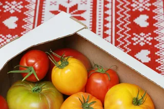 Фото: Руслан Пряников