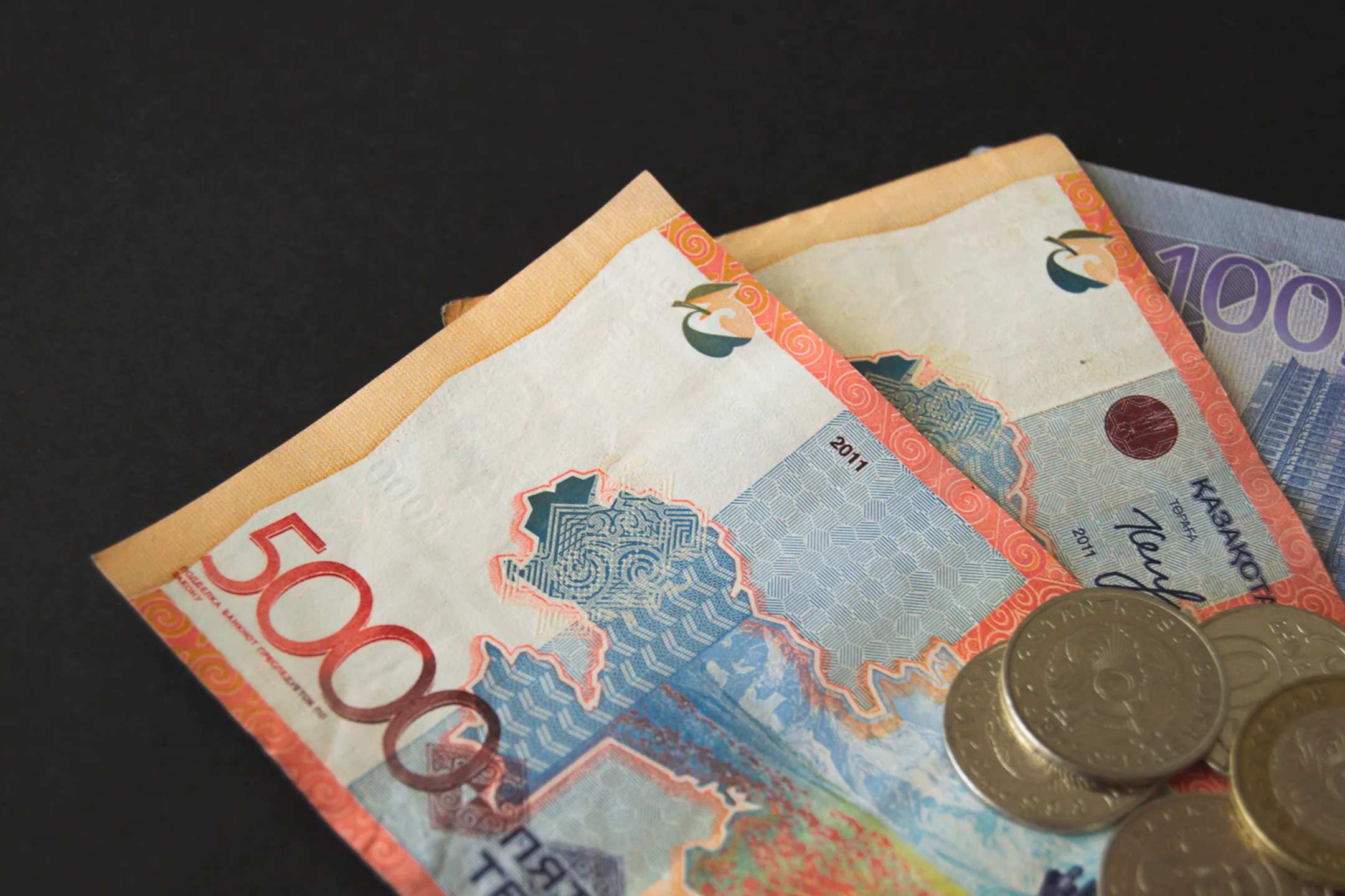 Фото: Валерия Змейкова