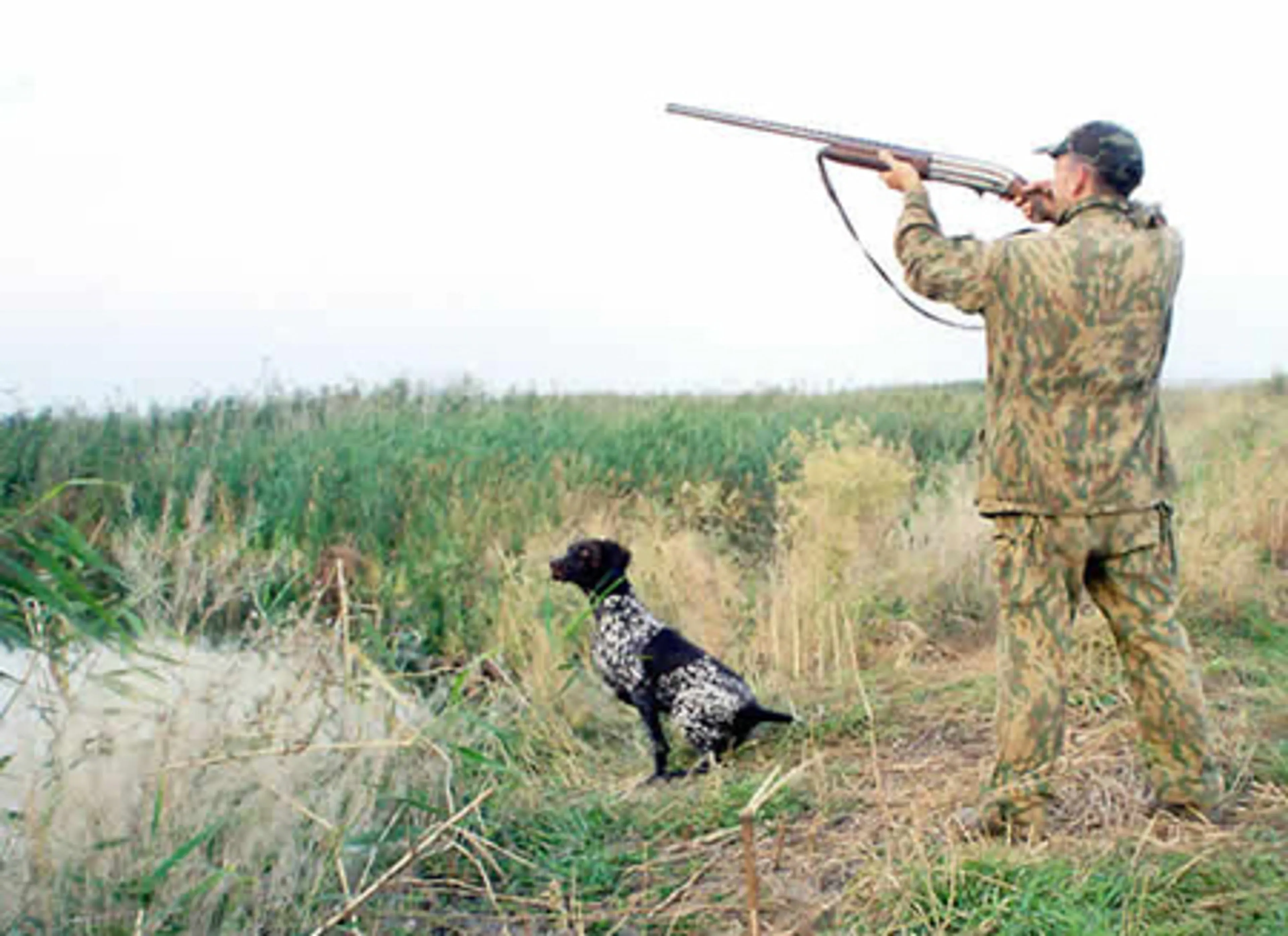 Капитал - Сезон охоты открывается 1 сентября