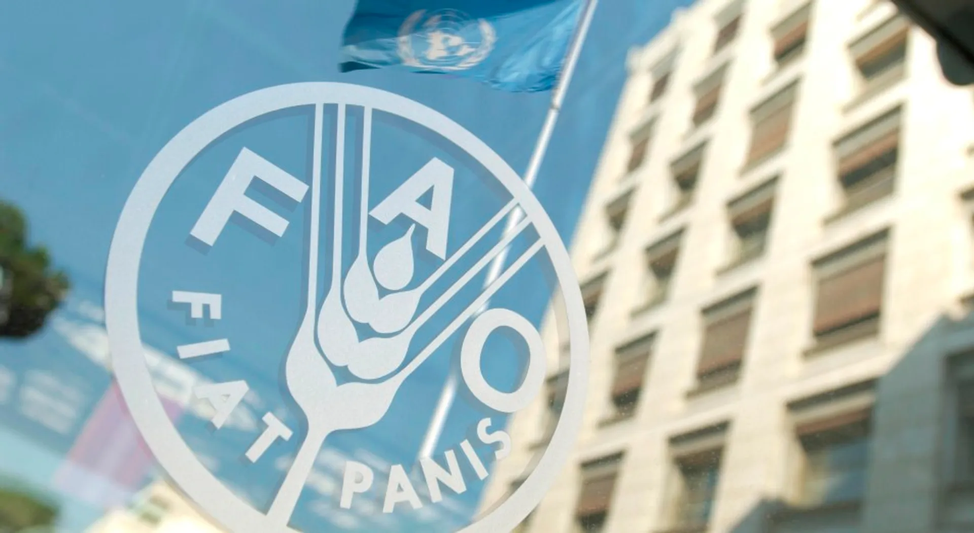 Капитал - В октябре Индекс продовольственных цен ФАО практически не изменился