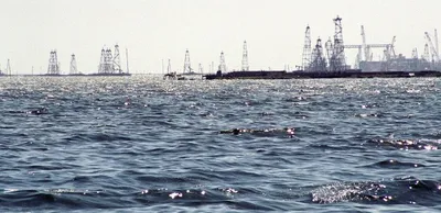 РФ и Иран договорились об охране биологического разнообразия Каспия