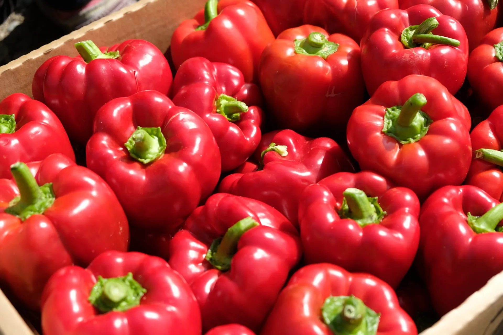 Капитал - Кризис кредитованию аграриев не помеха