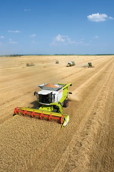 Капитал - Как казахстанское зерно закрыло сезон