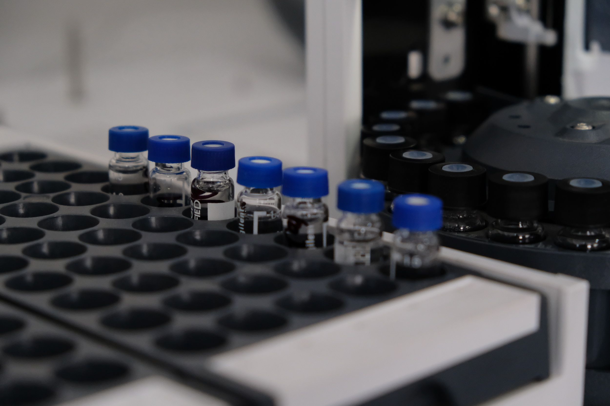 Фото: Владимир Третьяков