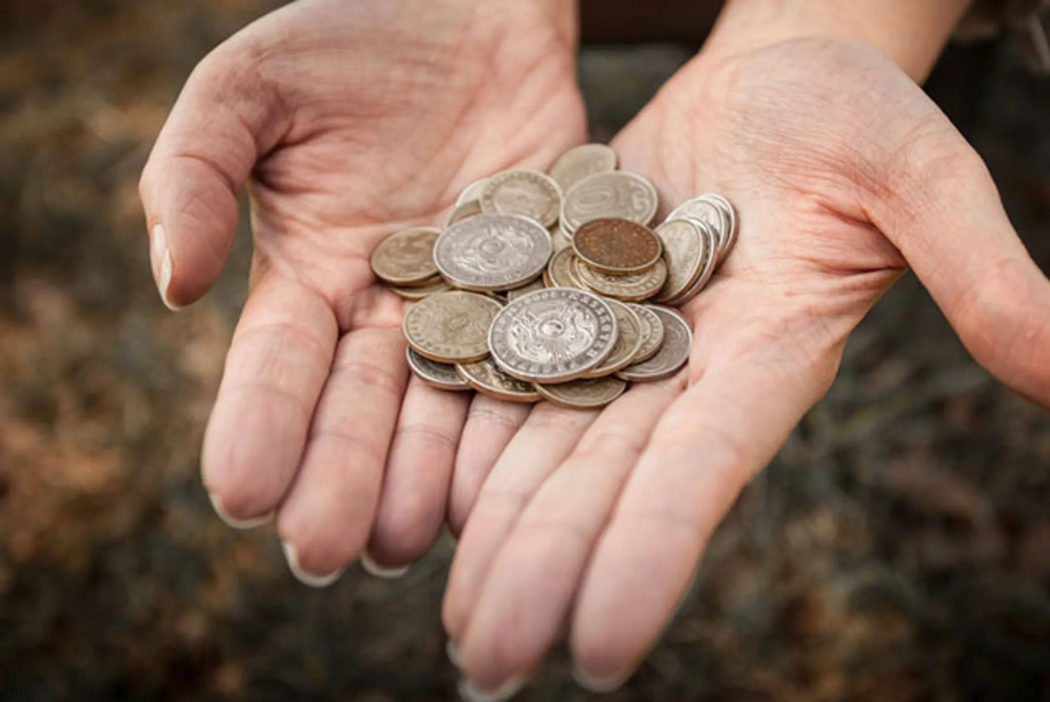 Казагромаркетинг начал прием заявок на субсидирование - Image Kapital.kz