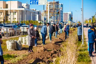 Капитал - Новый сезон посадки деревьев от BI Group