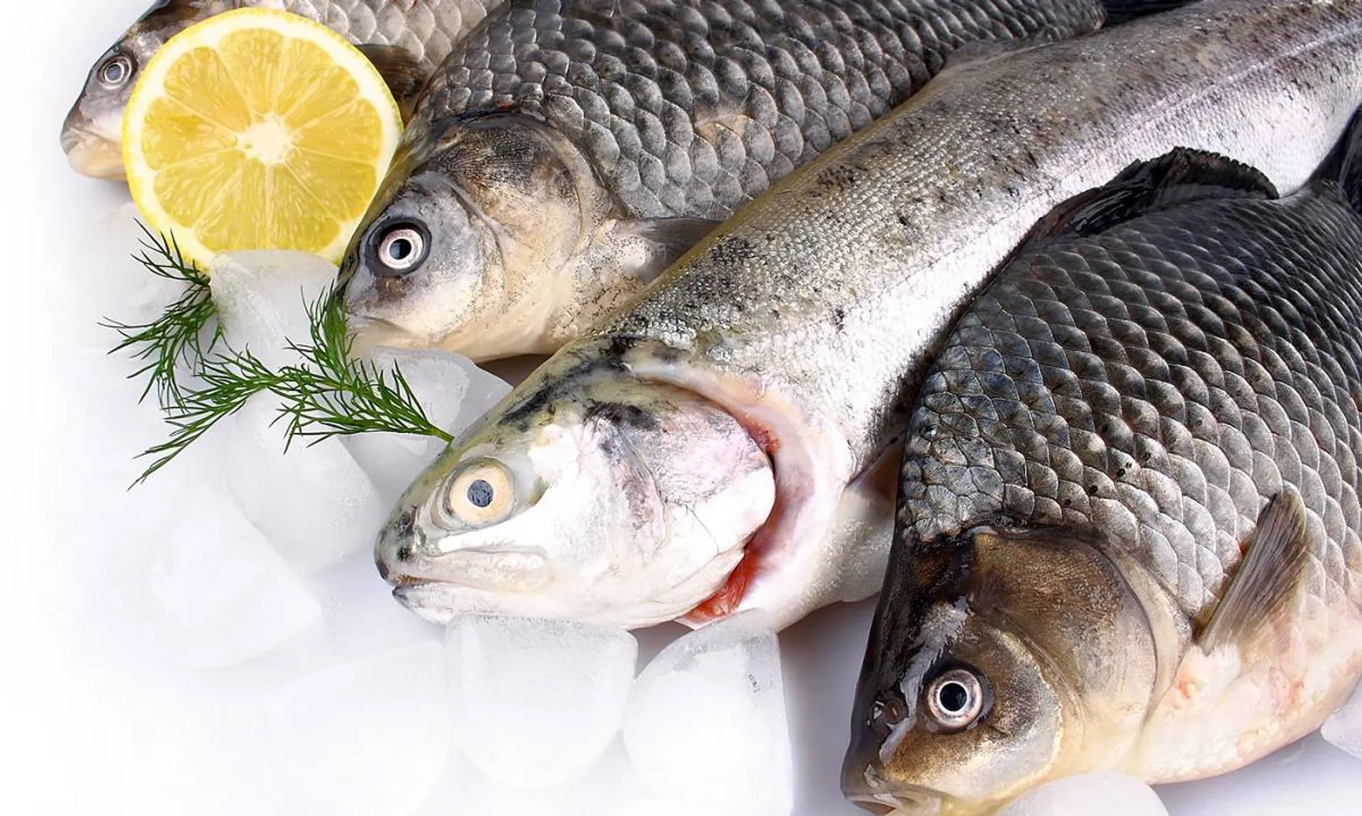 Капитал - Цены на рыбную продукцию в Казахстане значительно выросли