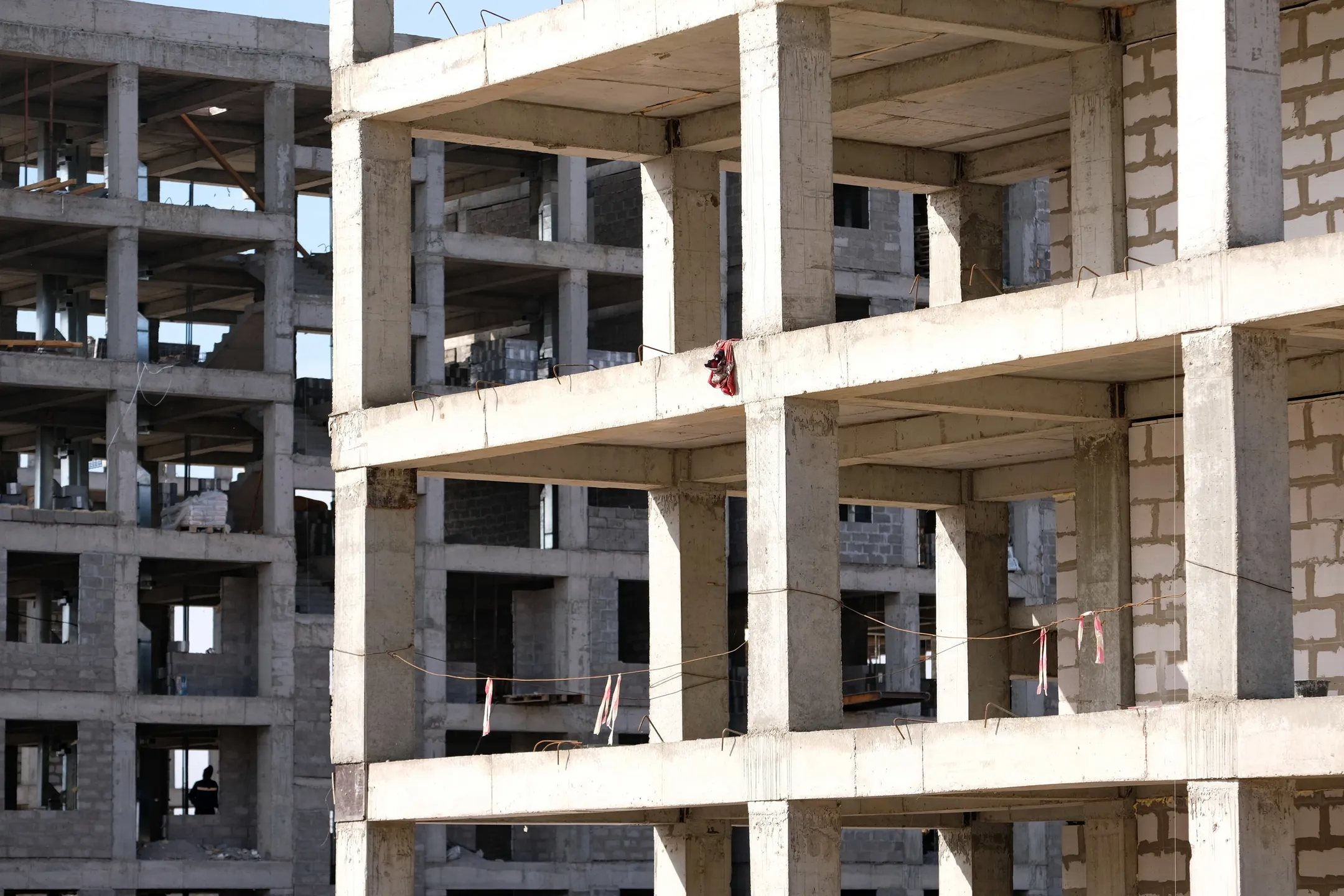 Фото: Владимир Третьяков 