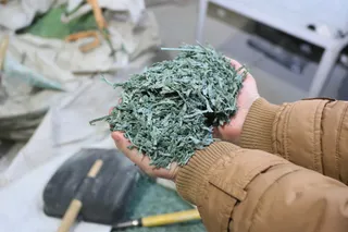 Фото: Руслан Пряников