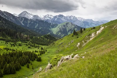 Проект Кок-Жайлау не предусматривает частные коттеджи