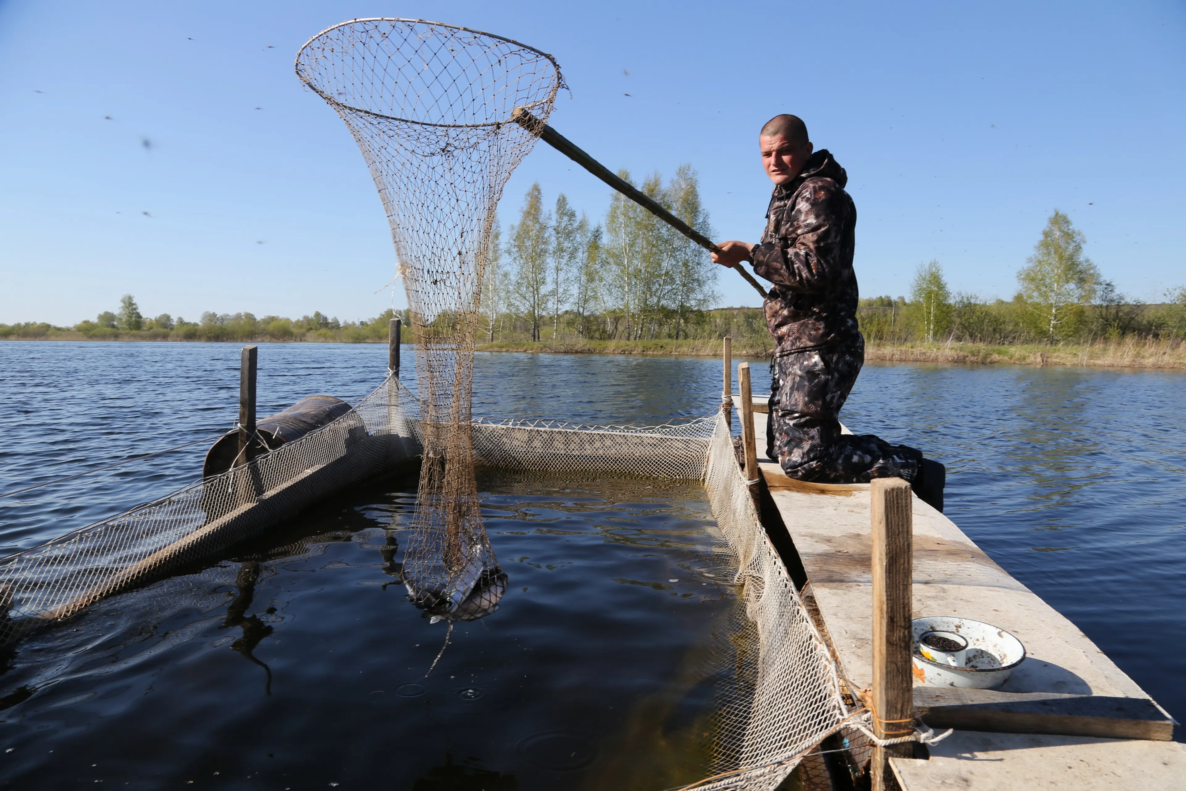 Капитал - В Северо-Казахстанской области разводят форель