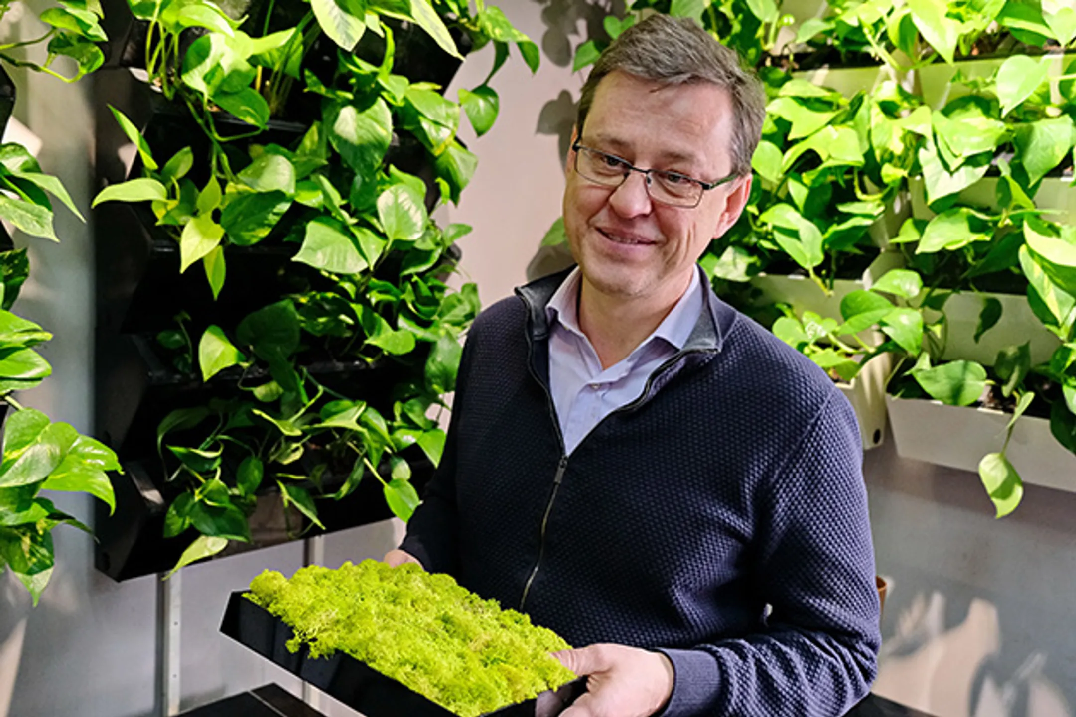 Как заработать на озеленении офисов? - Image Kapital.kz