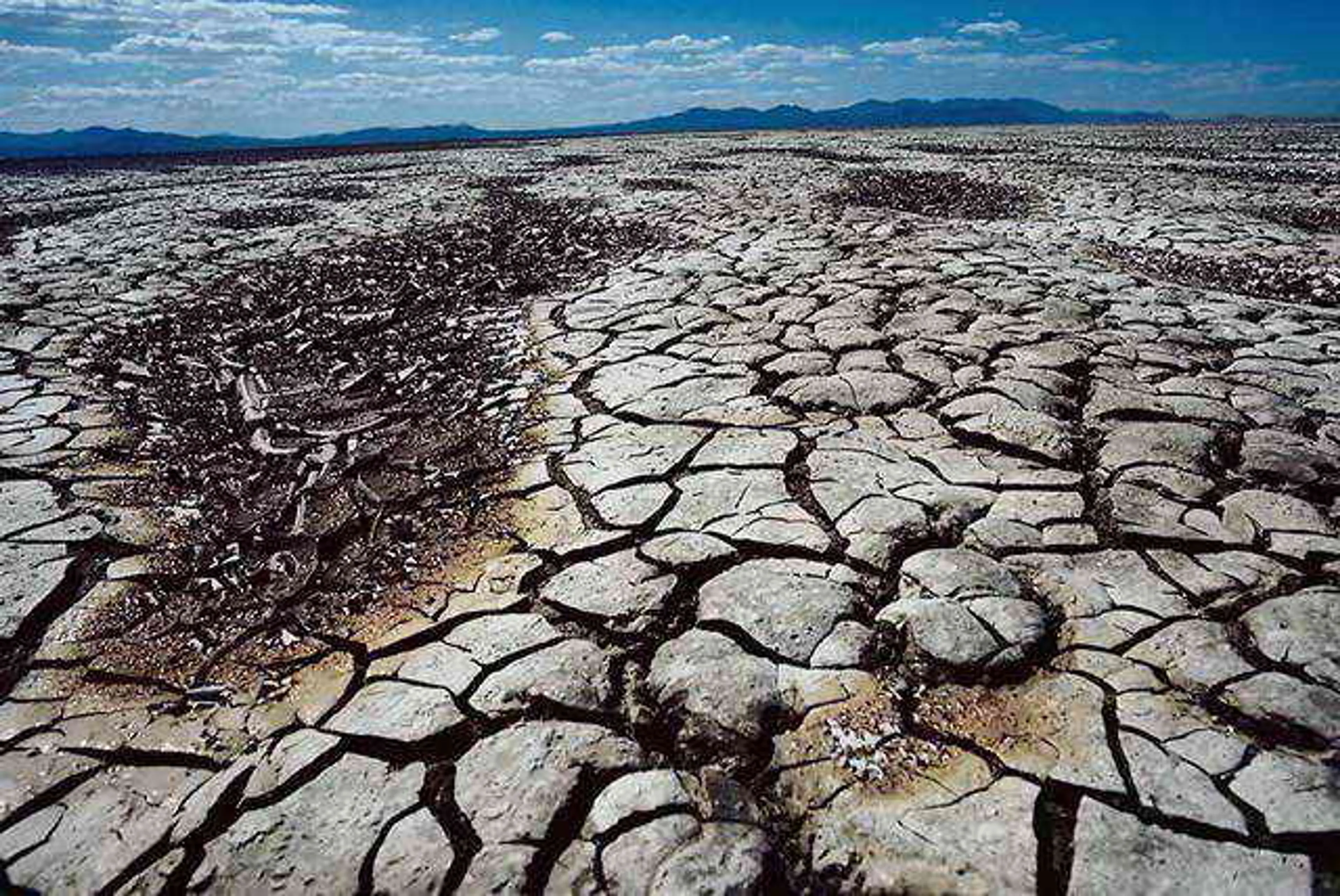 Капитал - Всемирный банк предрек миграцию 143 млн человек из-за климата