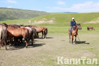 Фото: Руслан Пряников