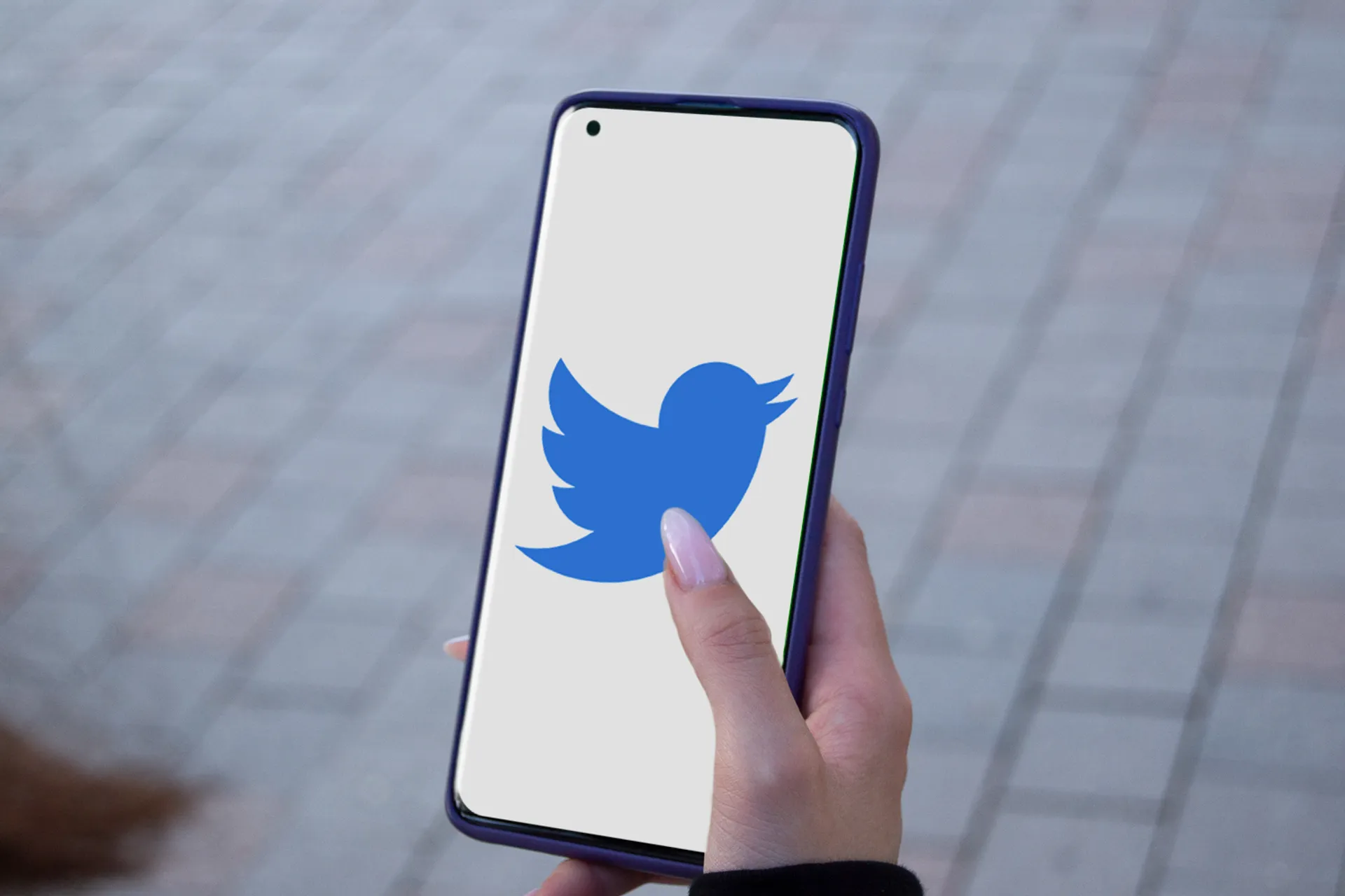 Капитал - Илон Маск сообщил о приостановке сделки по покупке Twitter