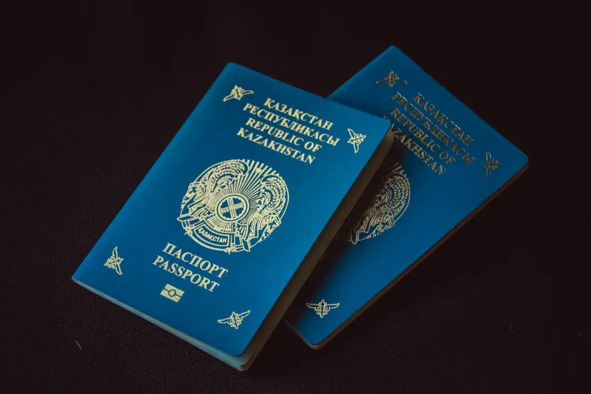 Фото: Валерия Змейкова