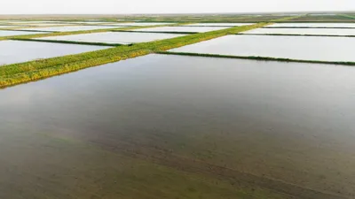 Фото: Министерство водных ресурсов и ирригации РК 