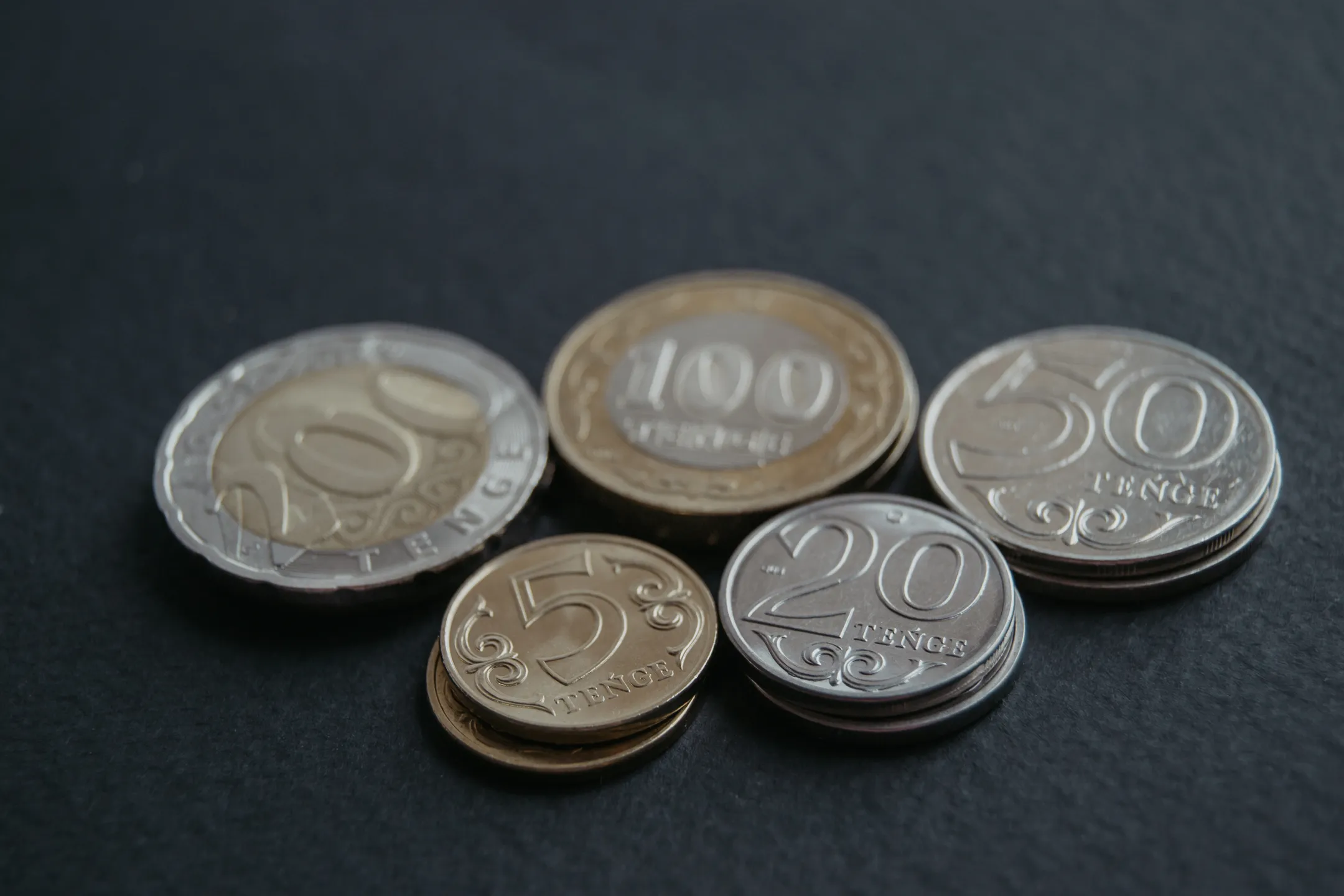 Фото: Валерия Змейкова