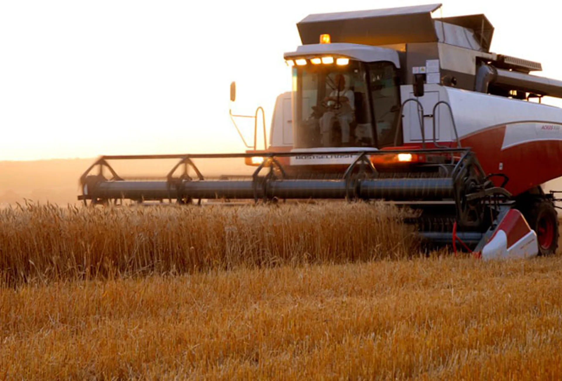 Капитал - Лукашенко пообещал помочь Украине