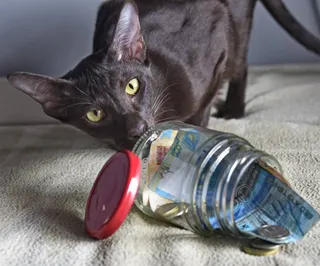 Почему дешевеет тенге?