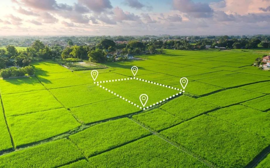 Фото: Комитет по управлению земельными ресурсами
 