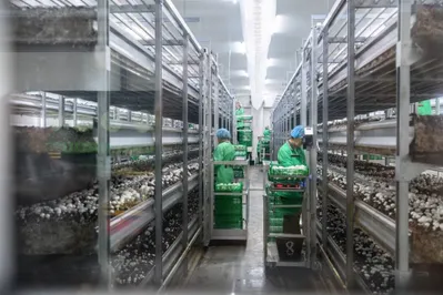 Фото: акимат Северо-Казахстанской области 