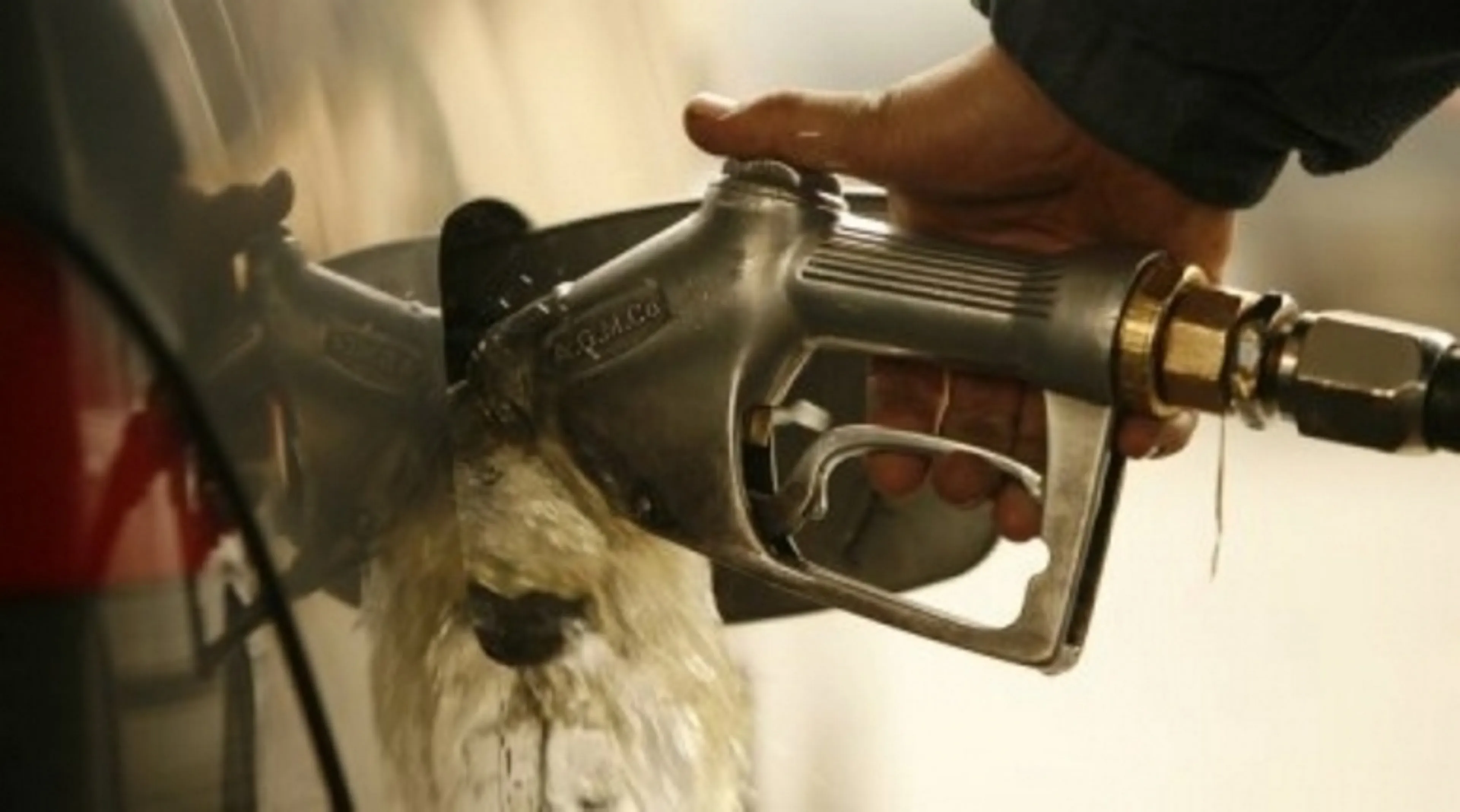 Капитал - Отсутствие конкуренции ведет к дефициту ГСМ