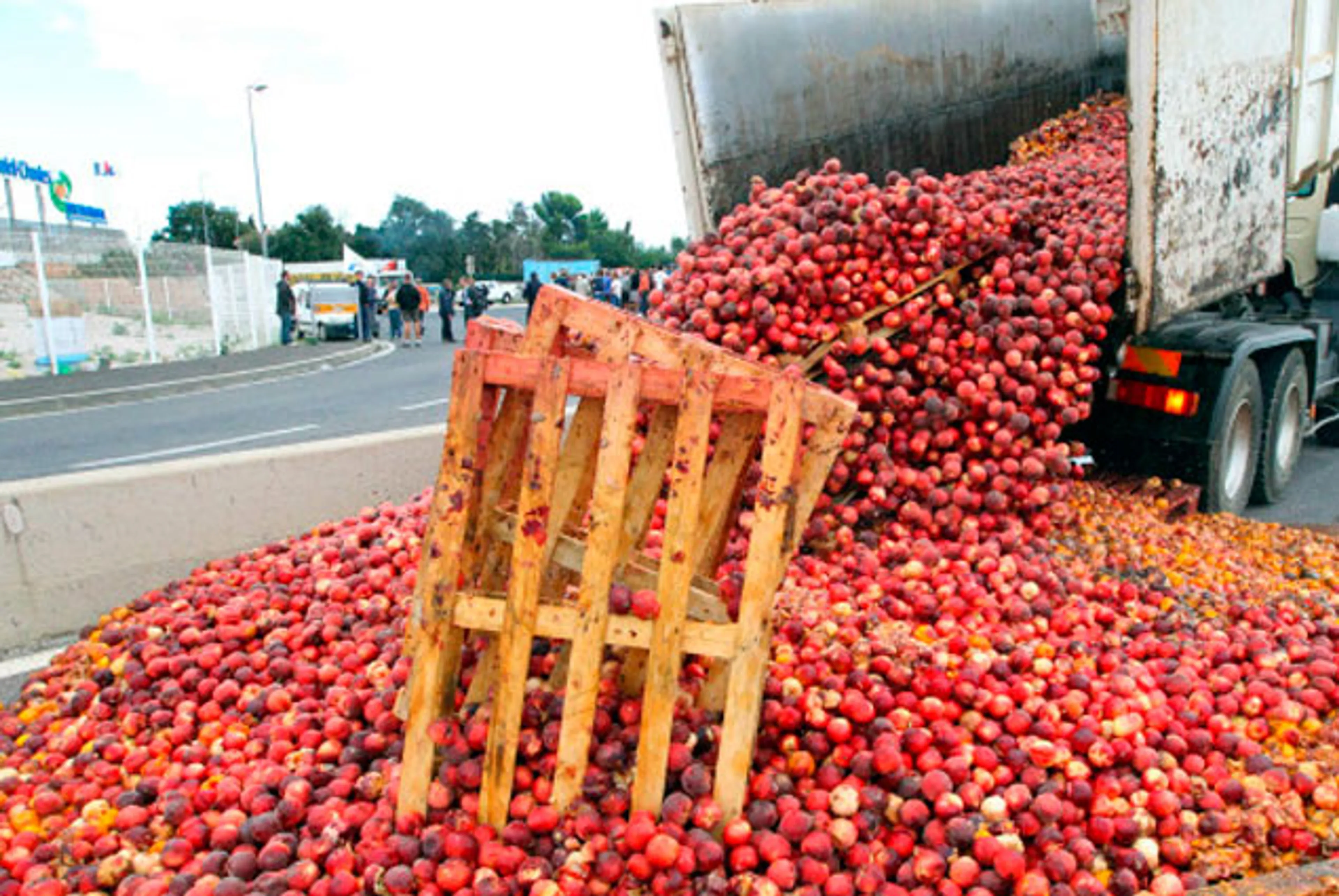 Капитал - ЕС подсчитал потери от санкционной войны
