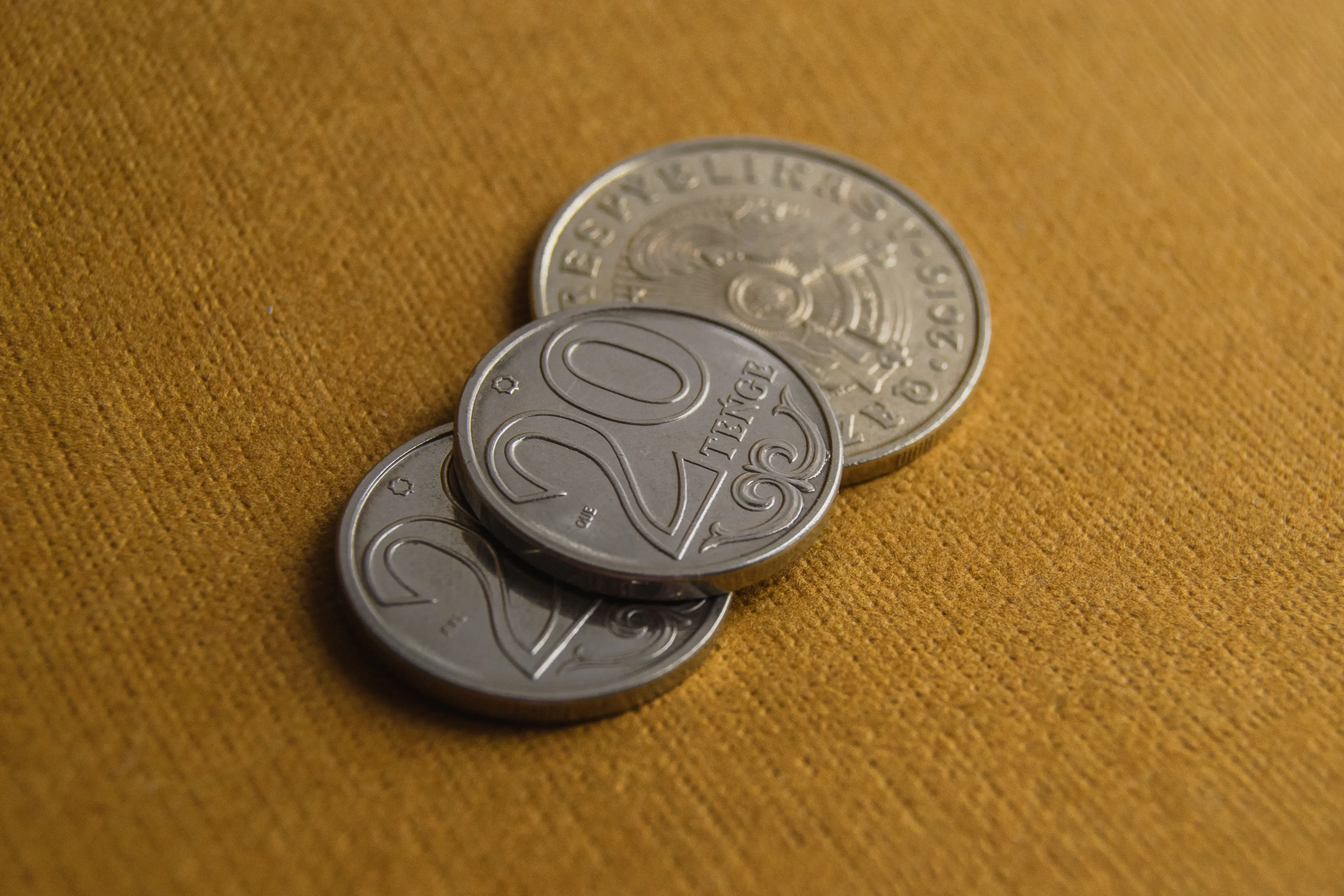 Фото: Валерия Змейкова