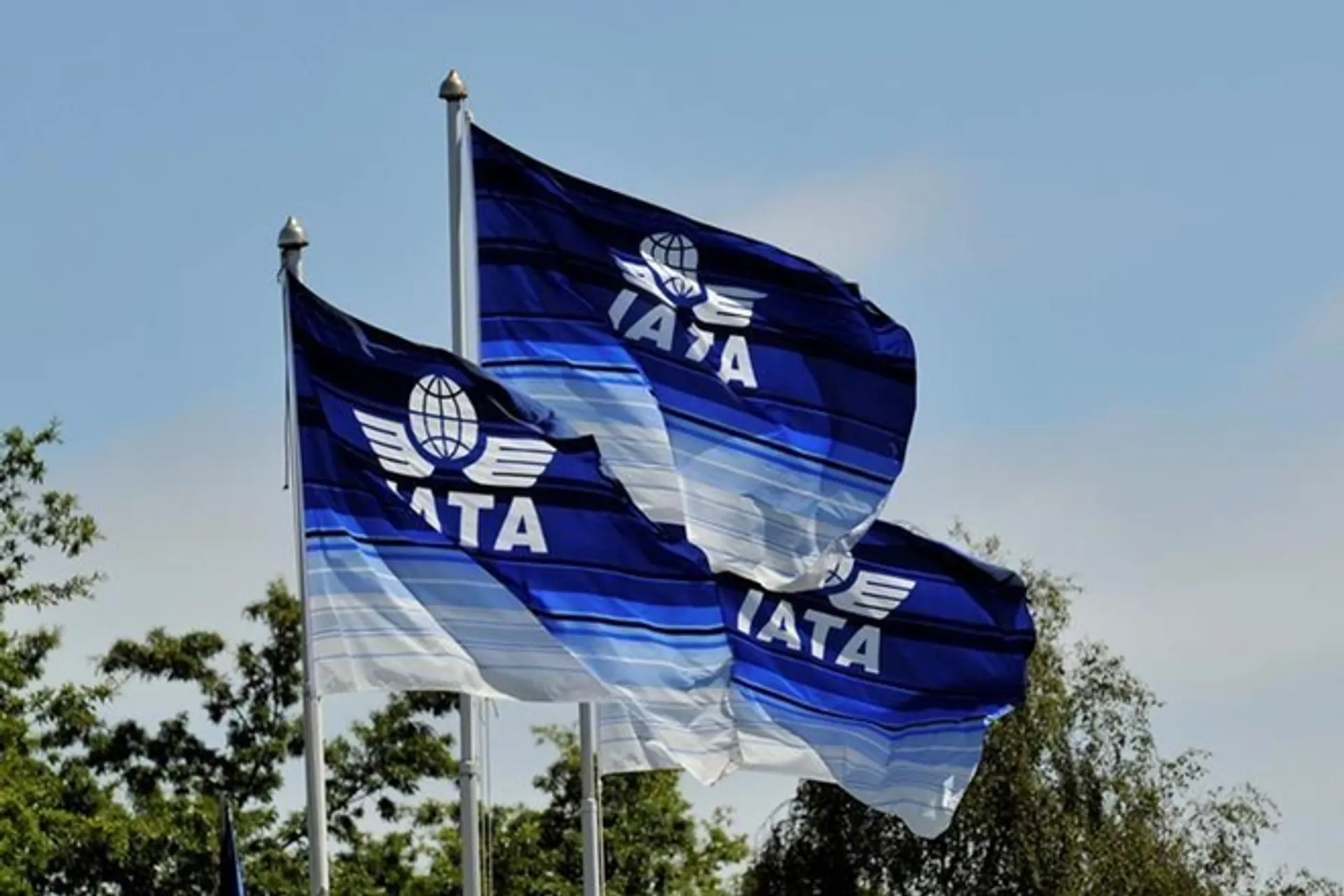 Капитал - IATA снизила прогноз прибыли авиакомпаний на 12%