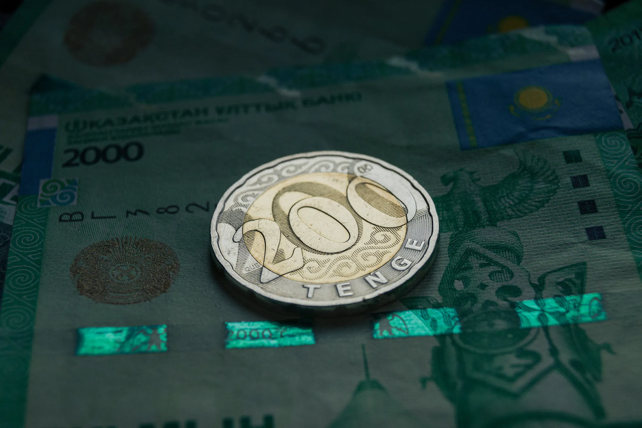 Фото: Валерия Змейкова