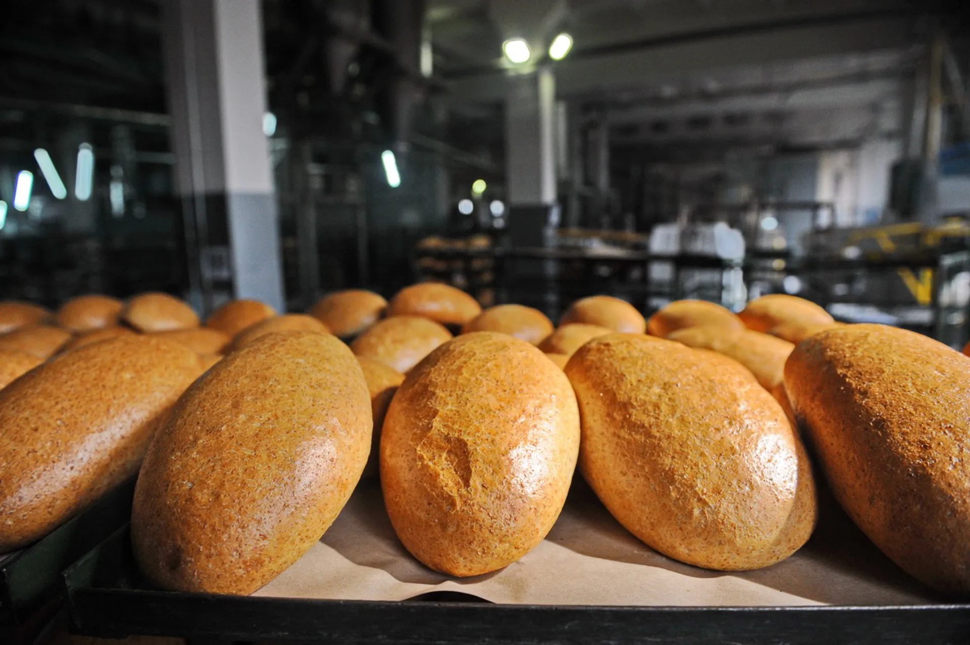 Фото: Владимир Третьяков