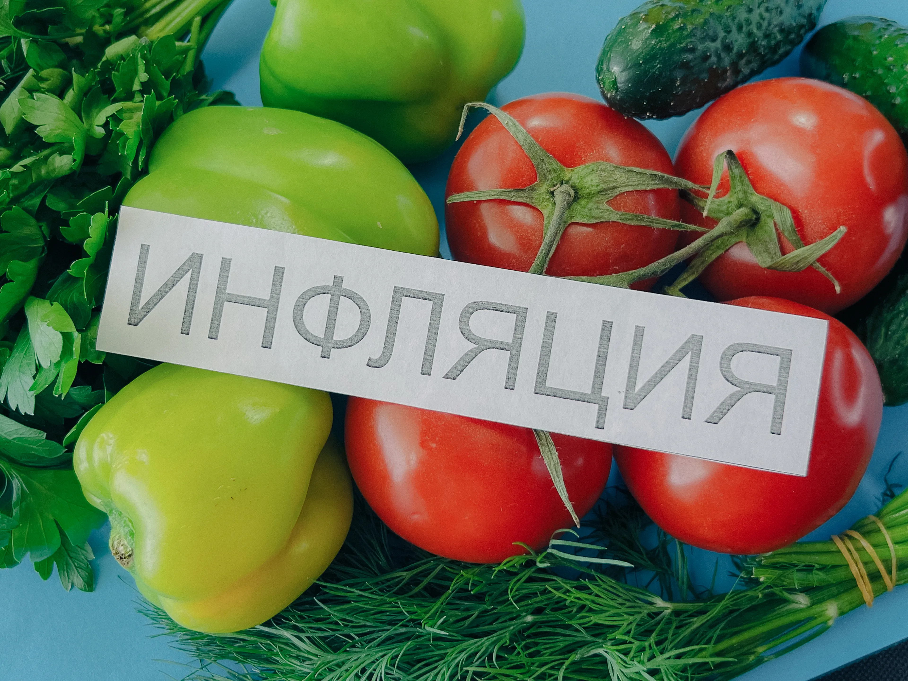 Фото: Валерия Змейкова