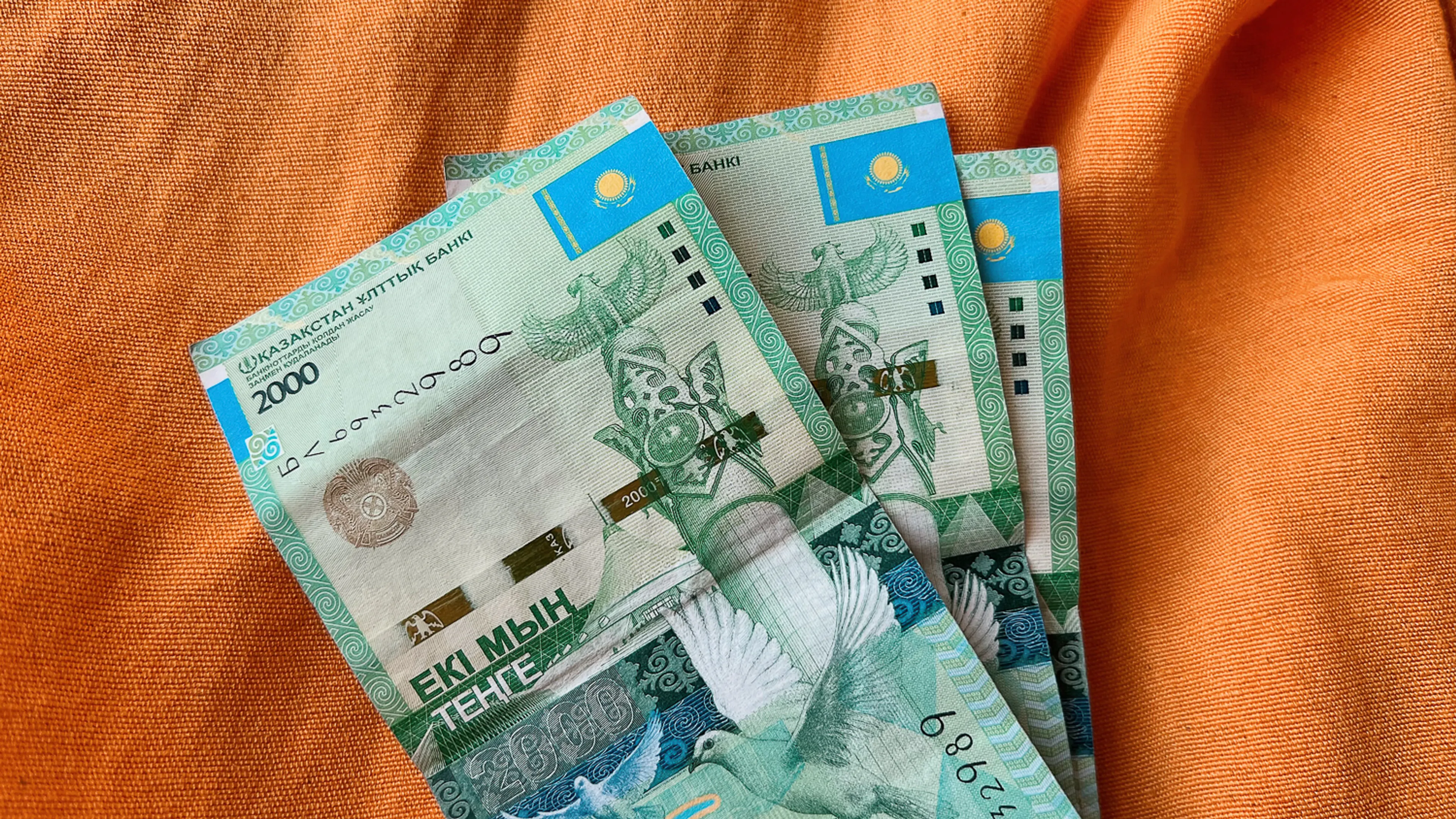 Фото: Валерия Змейкова