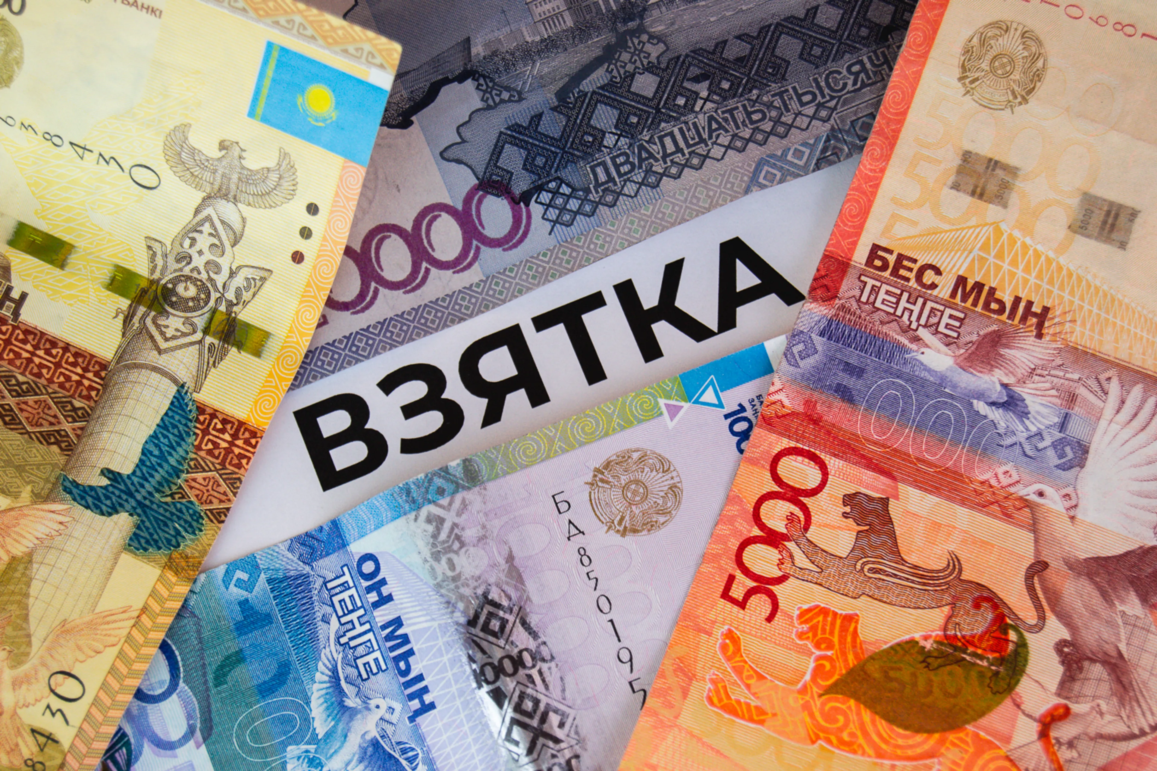 Фото: Валерия Змейкова