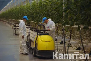 Фото: Владимир Третьяков