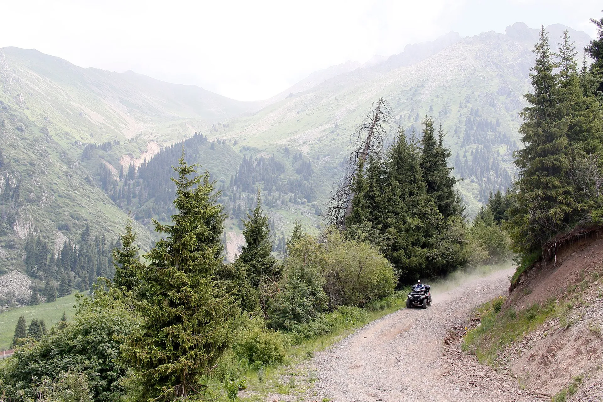 Фото: Руслан Пряников