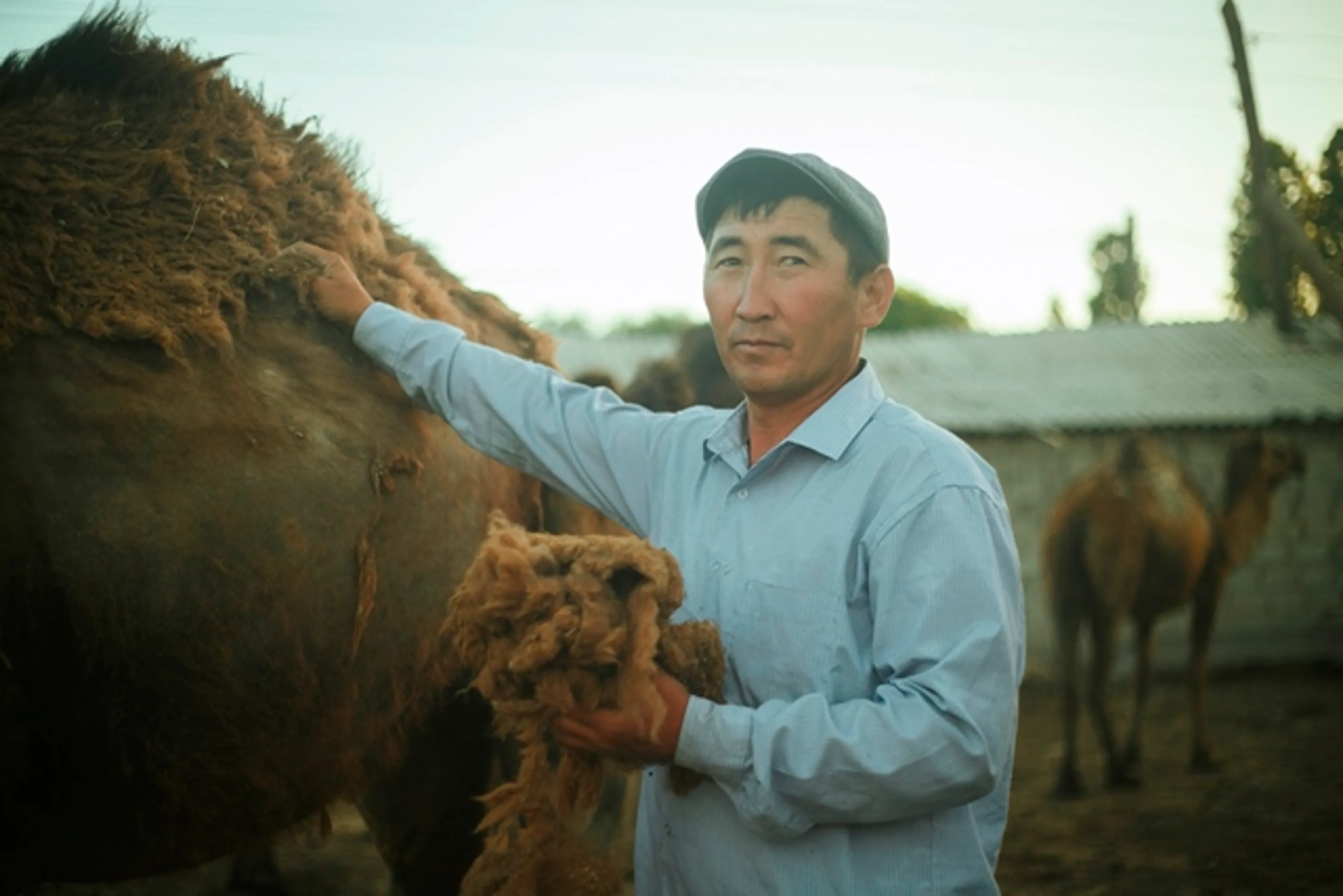 Капитал - Миллионер из аула