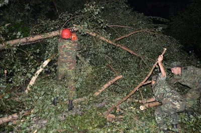 Восточный Казахстан пострадал от сильного урагана