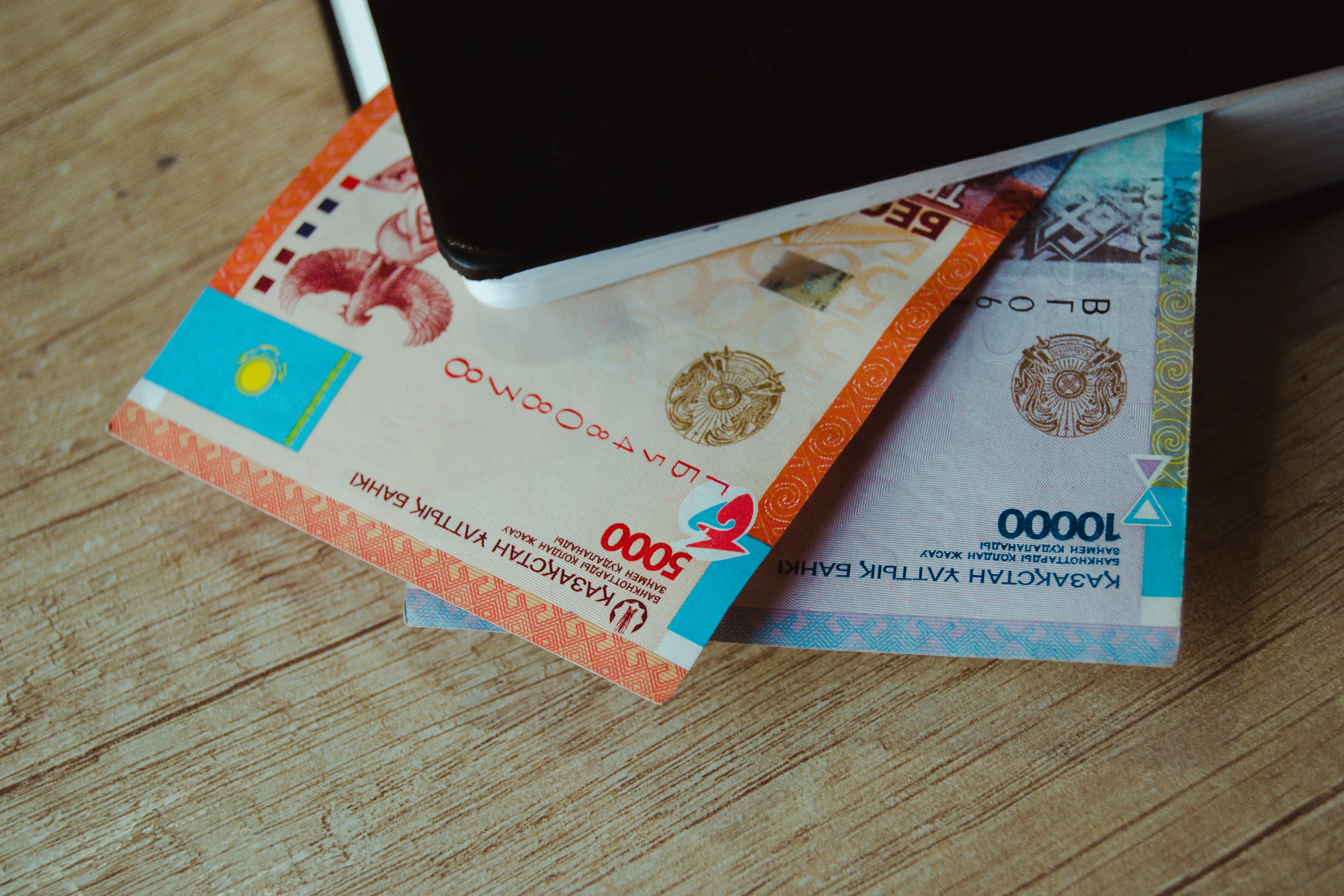 Фото: Валерия Змейкова