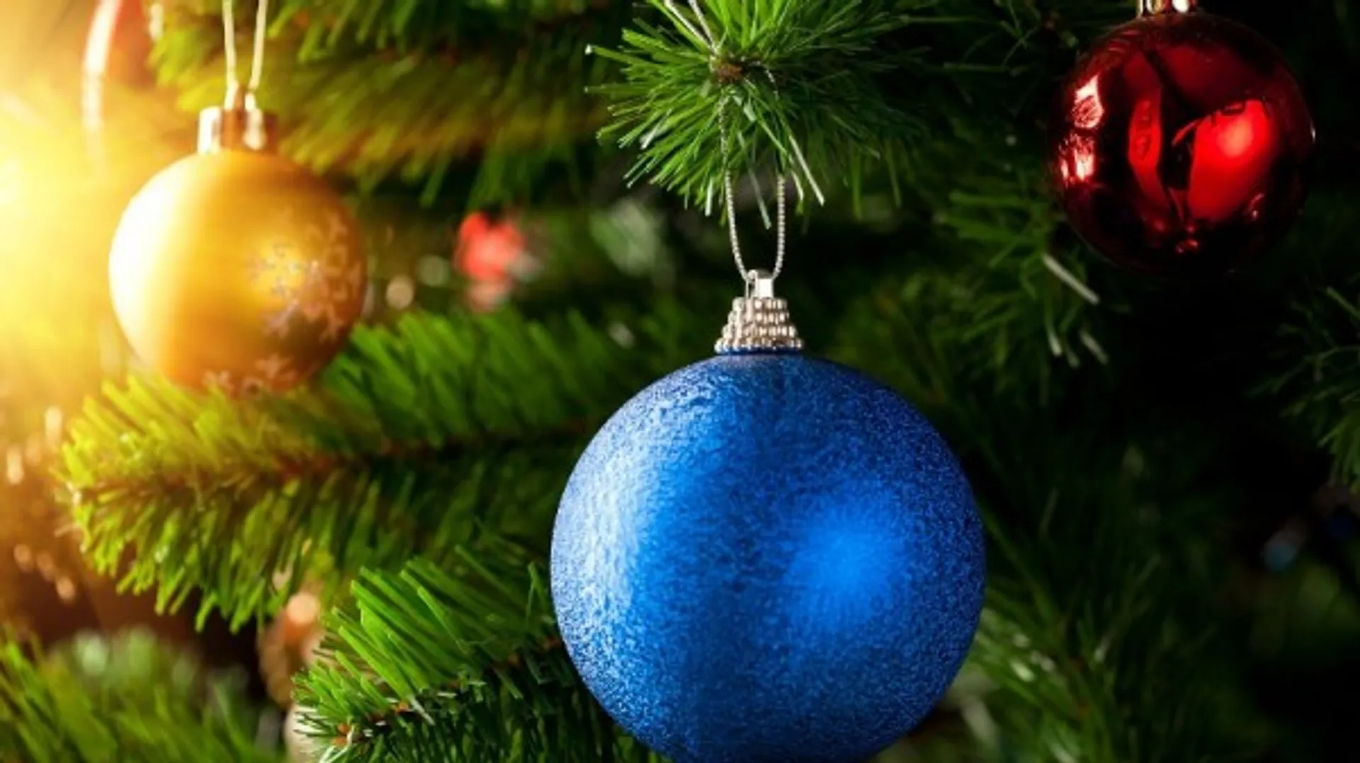 Капитал - Союз потребителей возмущен затратами на елку