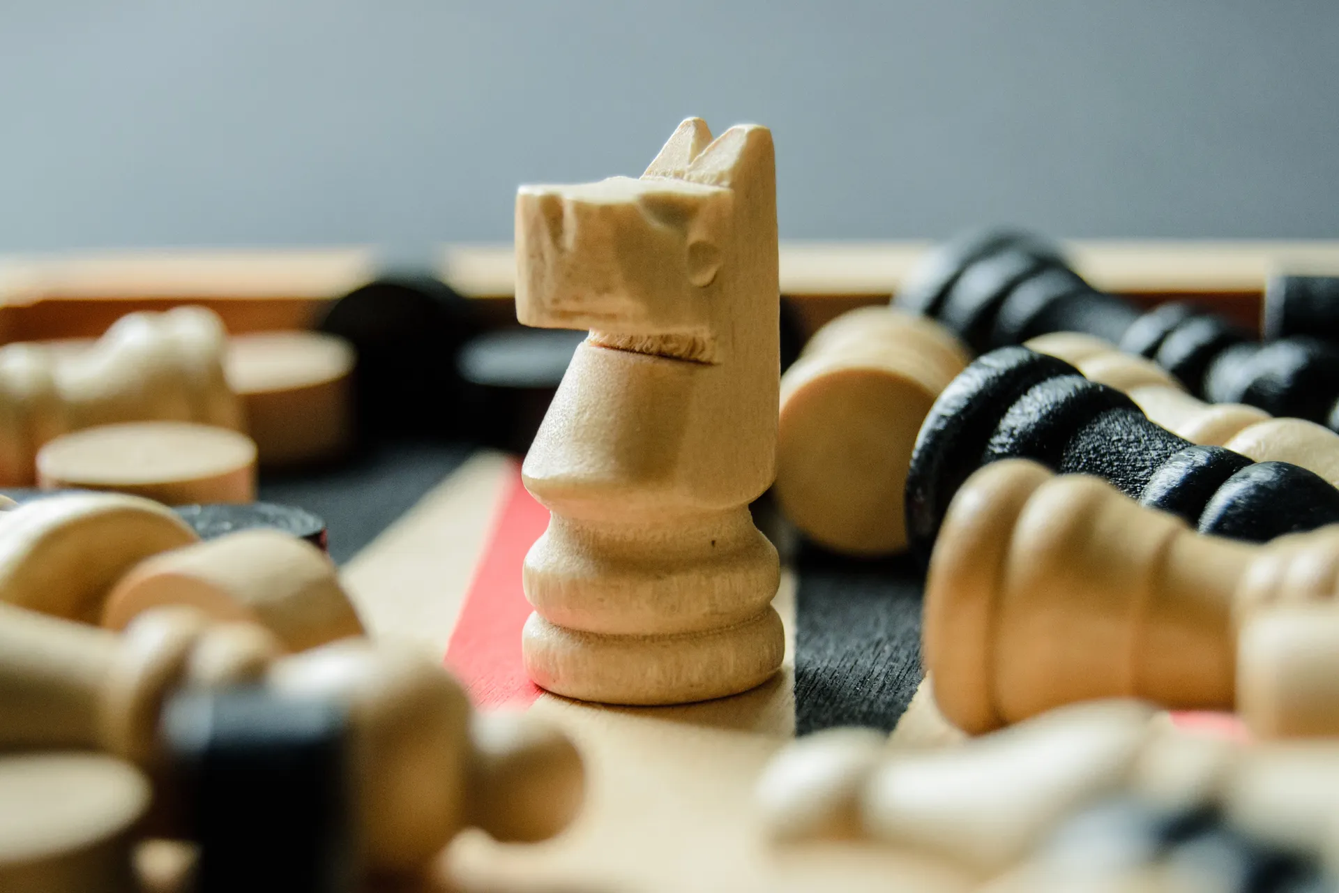 Фото: Валерия Змейкова