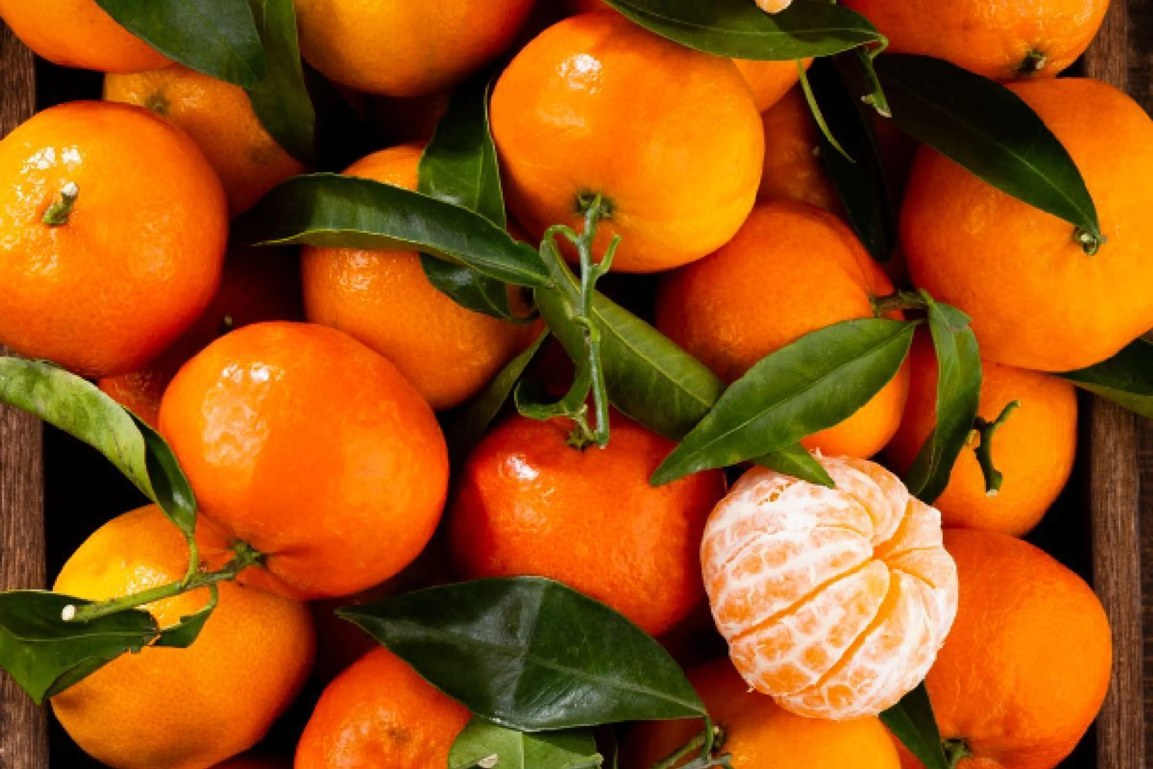 Фото: Kapital.kz