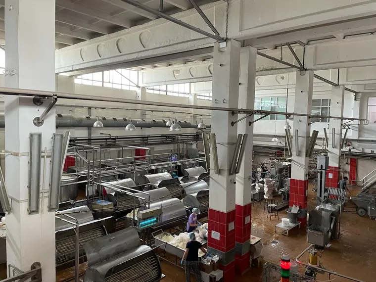 Капитал - В Индустриальной зоне Алматы открыли новые производства