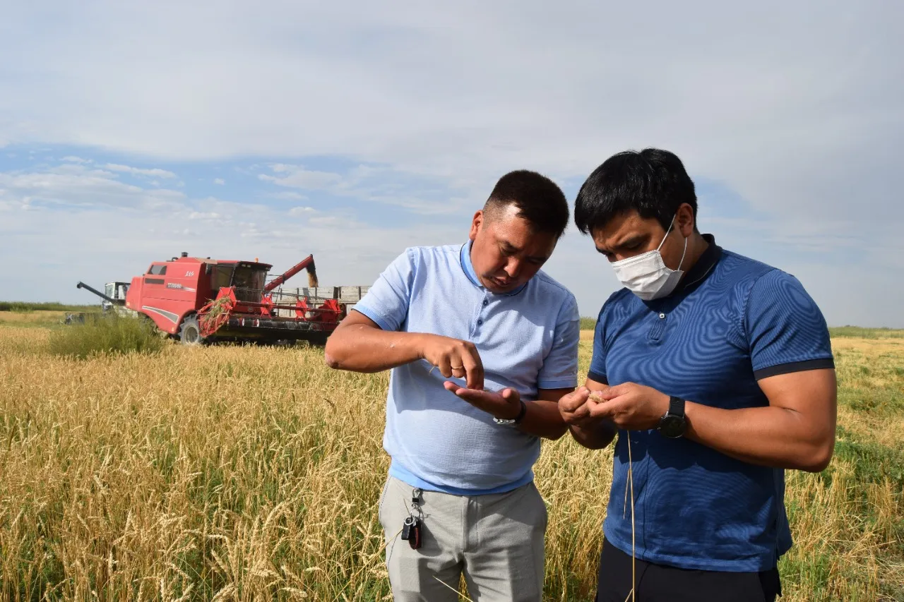 Фермеры будут поставлять продукцию по фиксированной цене 