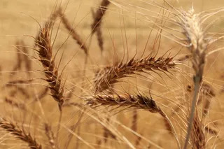 Фото: Руслан Пряников