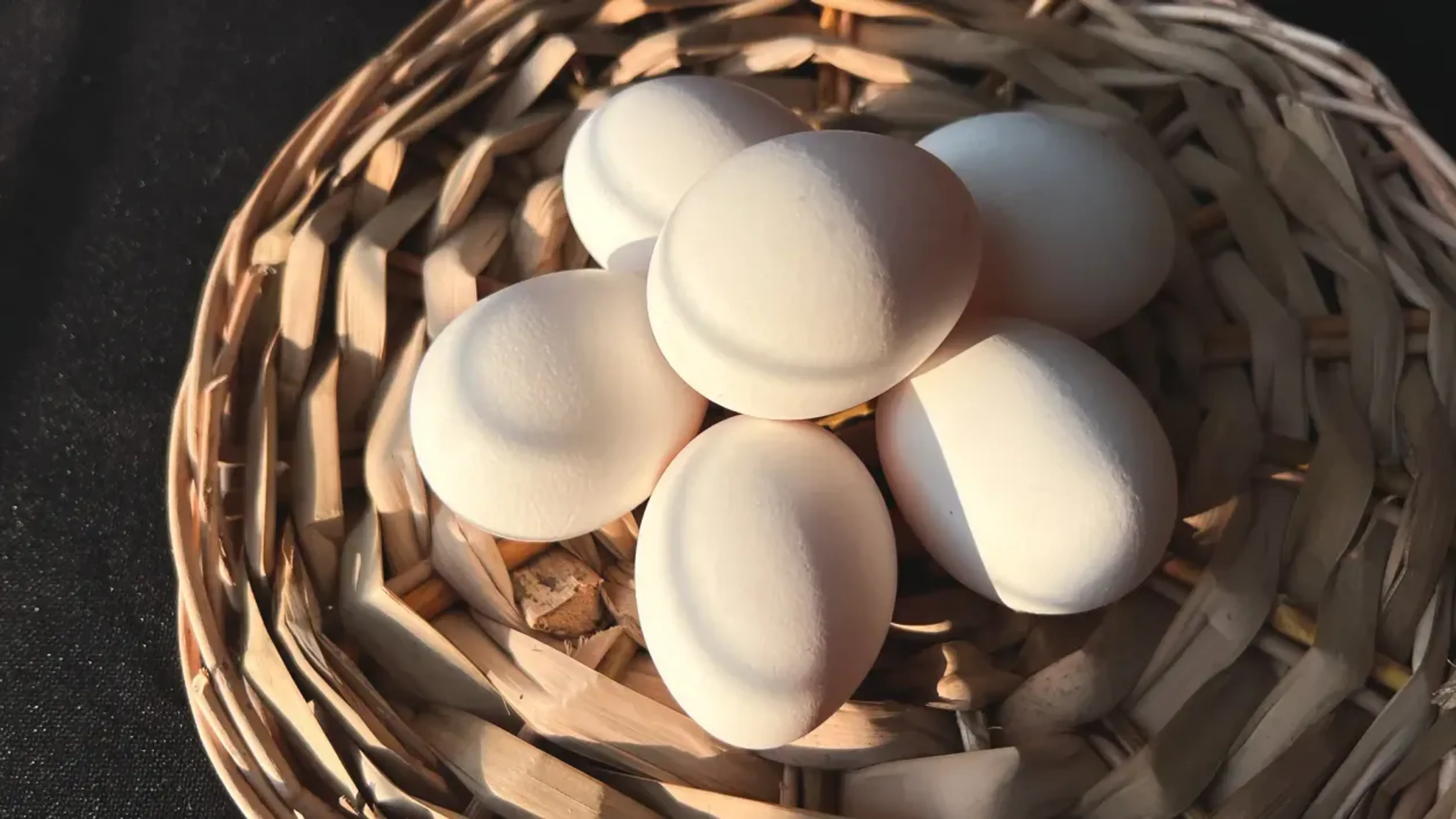 Фото: Валерия Змейкова 