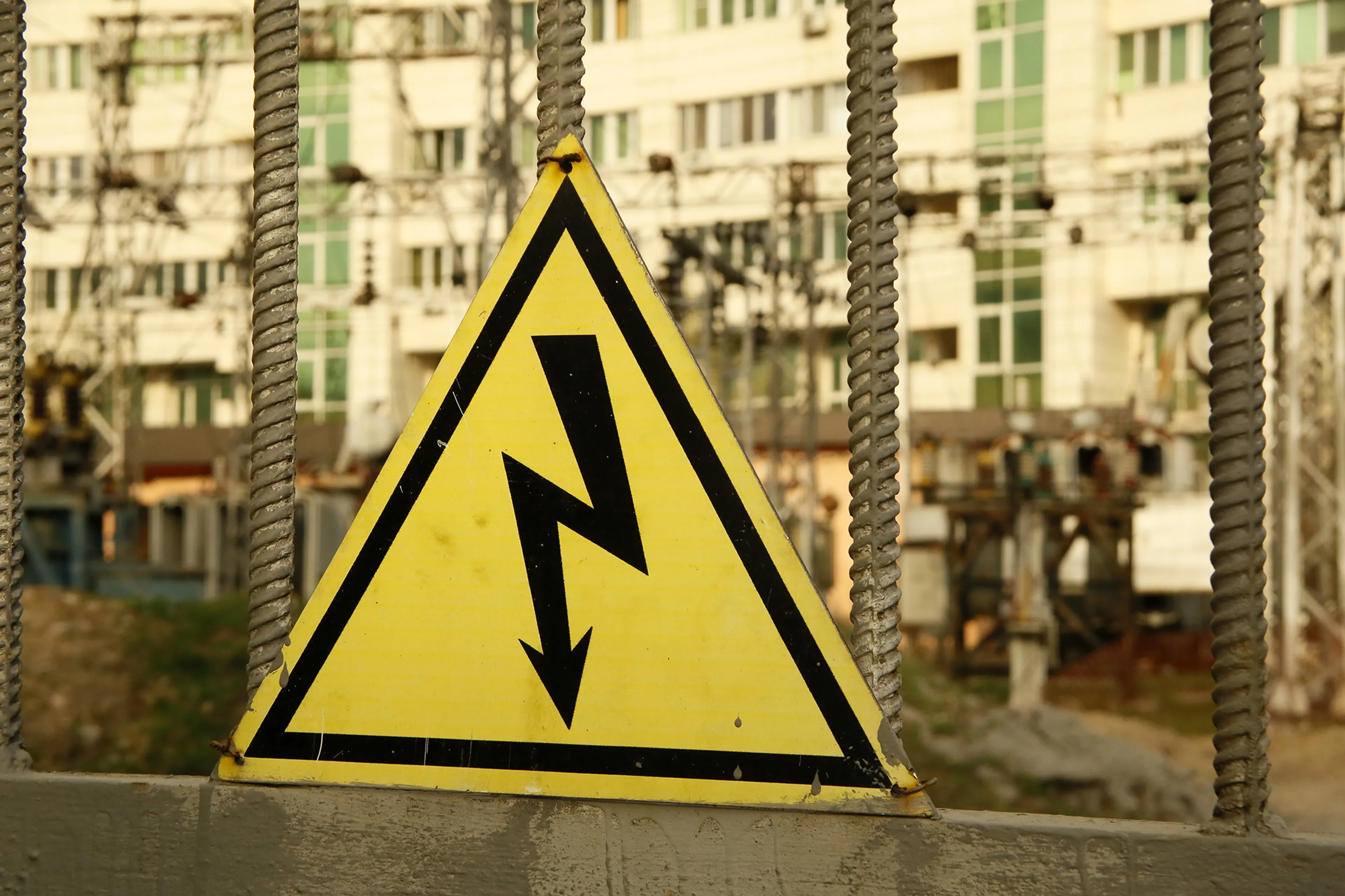 Фото: Руслан Пряников