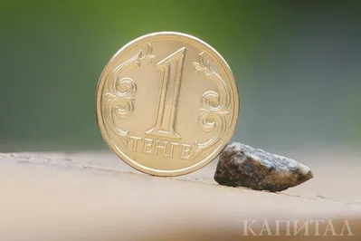 Правительство и Нацбанк подготовили план на случай скачков доллара